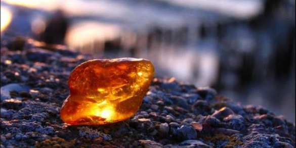 На Калининградском янтарном комбинате появилась своя «Антарктида» (ФОТО) | Русская весна