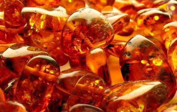 Куда стекается добытый янтарь: на Украине обнаружили подпольный завод и изъяли 300 кг камня (ФОТО) | Русская весна