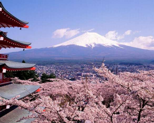 Япония облегчила визовый режим для россиян | Русская весна