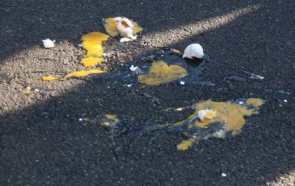 Главу Косово закидали яйцами | Русская весна