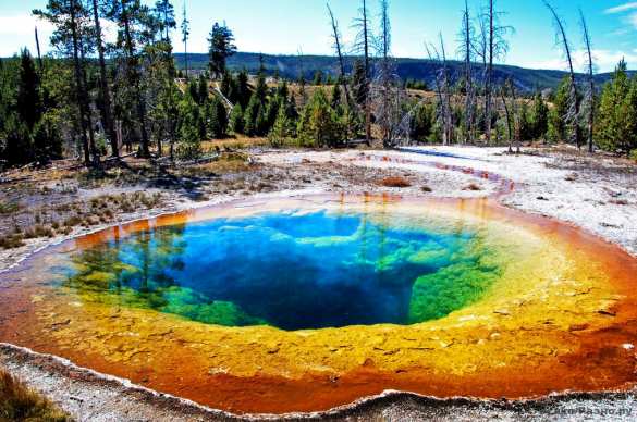 Микробиологи нашли «инопланетных» микробов в Йеллоустонском парке (ВИДЕО) | Русская весна