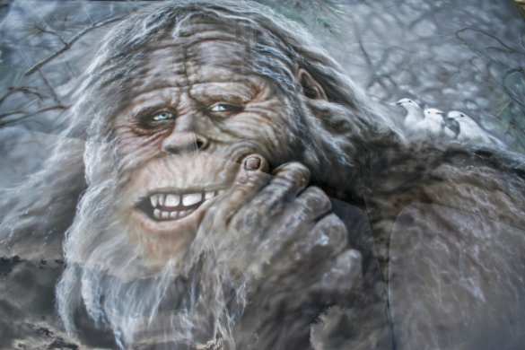 Военные Непала предположили, кому принадлежат «следы йети» в Гималаях (ФОТО) | Русская весна