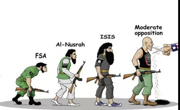 Human Rights на сирийском фронте информвойны против России | Русская весна