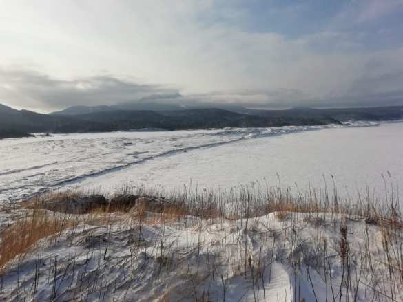 Вашингтон признал уроженцев Курил японцами | Русская весна