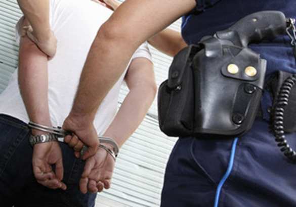 В США арестована гражданка России | Русская весна