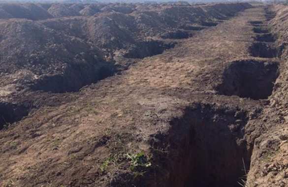 Под Иловайском и Саур-Могилой волонтеры нашли около 500 неопознанных тел | Русская весна