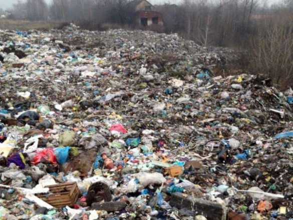 Закарпатье в ожидании катастрофы (ФОТО, +ВИДЕО) | Русская весна