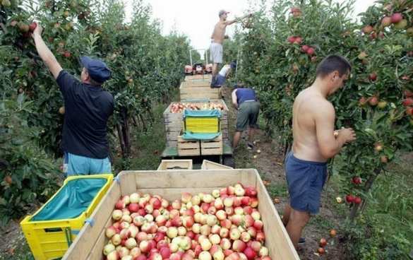 В Польше рассказали, чего ждать украинским заробитчанам | Русская весна