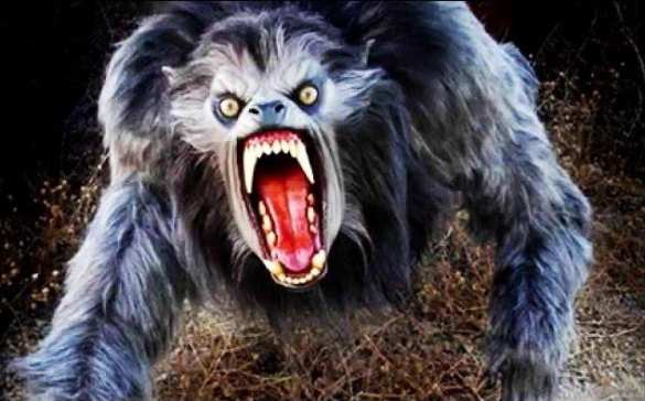 На Украине убили неизвестное животное (ФОТО, ВИДЕО) | Русская весна