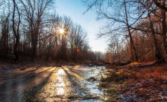 Из России с любовью: сибирские морозы нашлись в США и Канаде | Русская весна