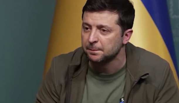 Зеленский набросился на депутата Рады из-за слов о переговорах с Россией | Русская весна