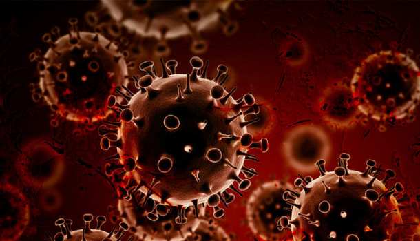 Учёные назвали популярный продукт, повышающий риск развития рака | Русская весна