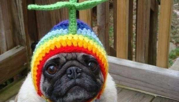 Эстония выдвинула ультиматум Китаю из-за поддержки России | Русская весна