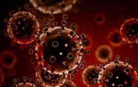 Учёные назвали популярный продукт, повышающий риск развития рака | Русская весна