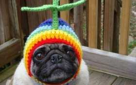 Эстония выдвинула ультиматум Китаю из-за поддержки России | Русская весна